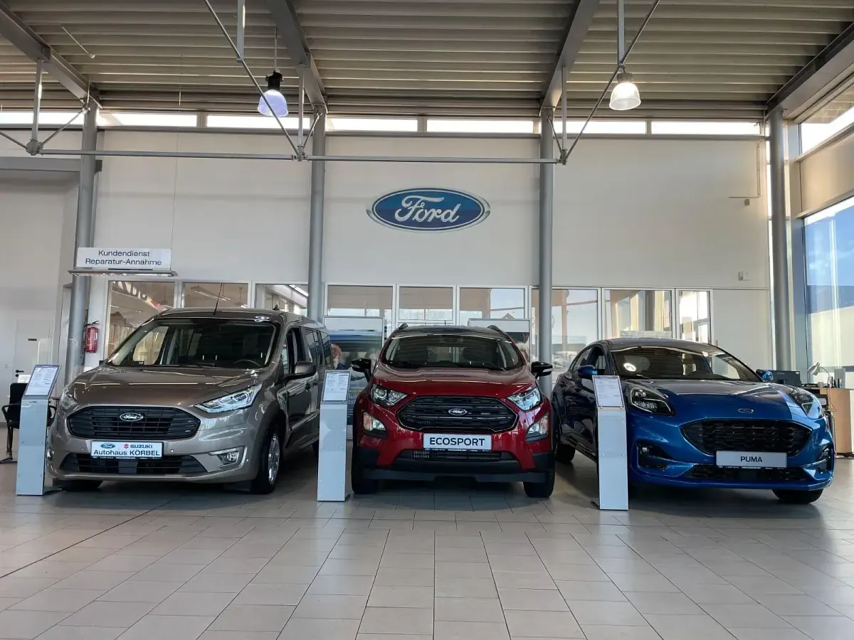 Gebraucht Ford Fiesta Active 101 PS (74 kW) 2019 Grau Kleinwagen