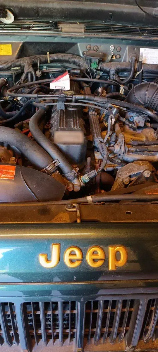 Gebraucht Jeep Cherokee 184 PS (135 kW) 1995 Grün SUV