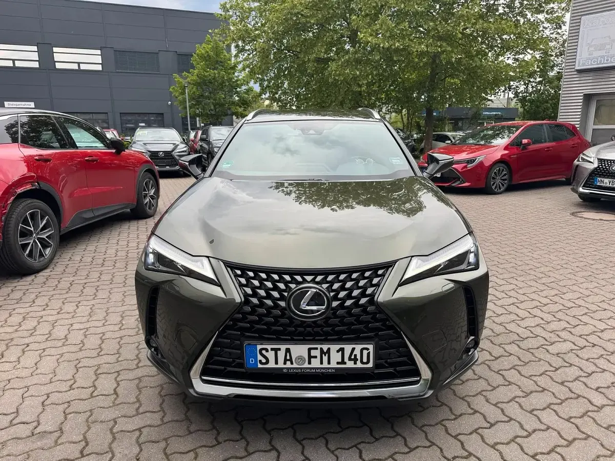 Gebraucht Lexus UX 184 PS (135 kW) 2023 Grün SUV