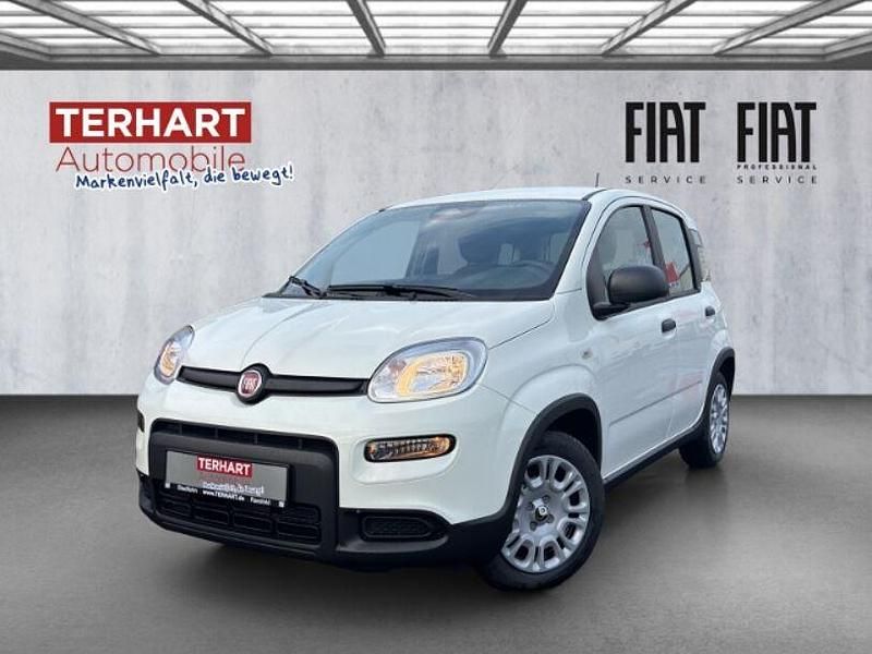 Weiss) (weiss Gebraucht 2024 Fiat Panda Star Kleinwagen | 14.987 € (Fairer Preis) - Bild 1/4