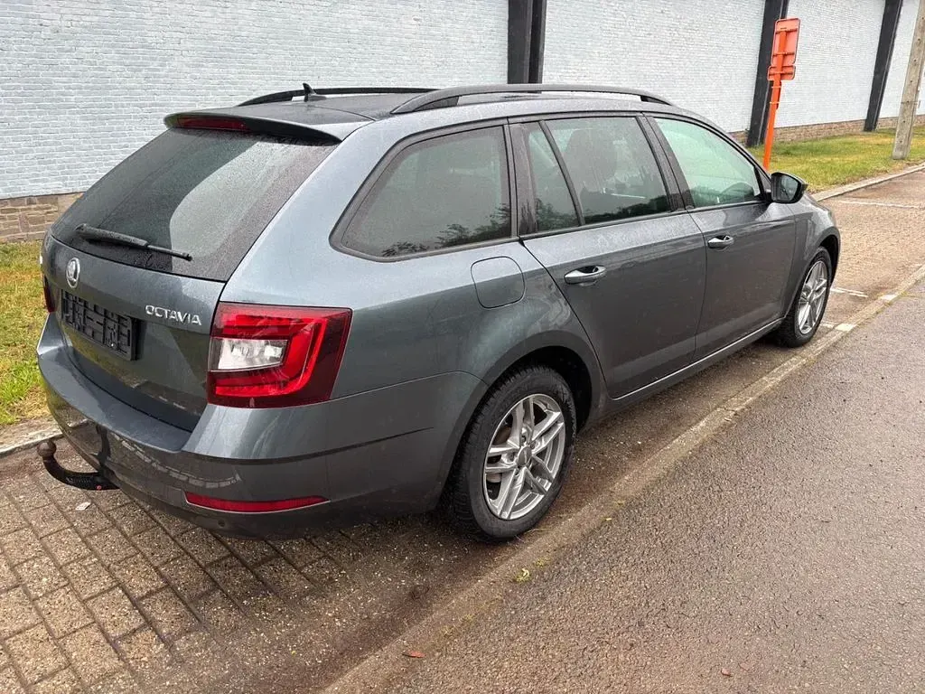 Brugt Skoda Octavia Active 116 HK (85 kW) 2019 Rød Sedan