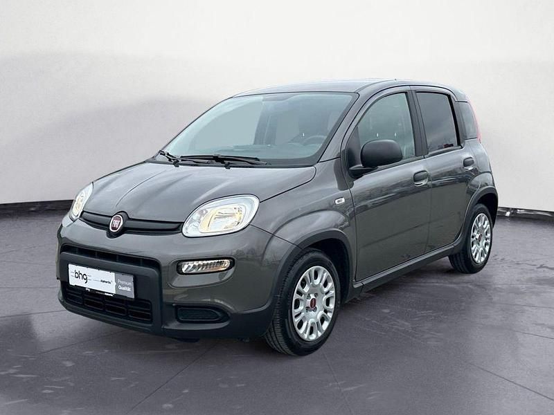 Gebraucht Fiat Panda 69 PS (50 kW) 2023 Grau Kleinwagen