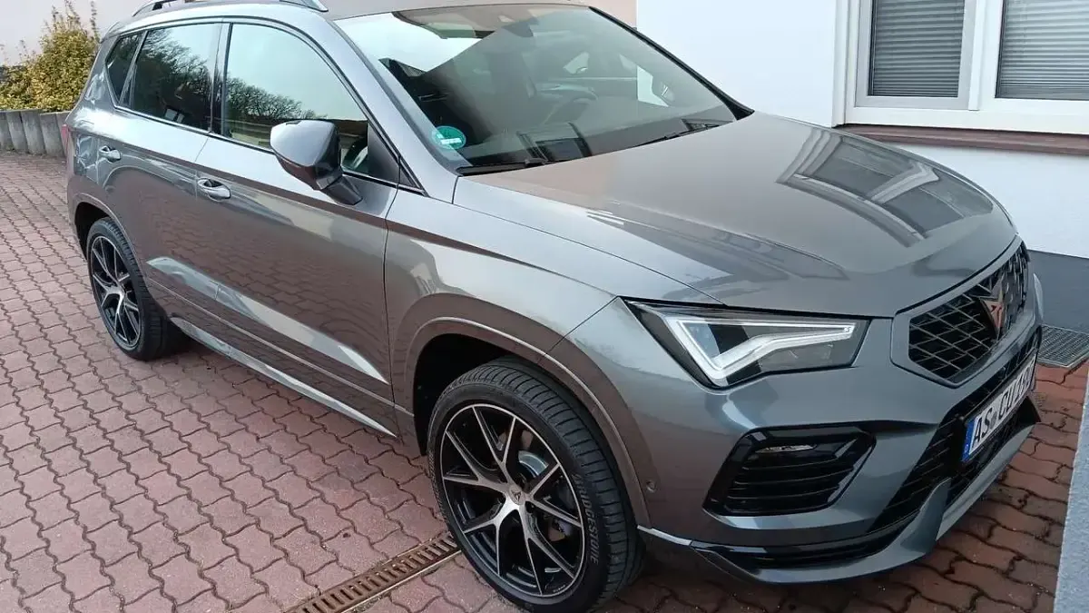 Usata Cupra Ateca Basis 190 CV (139 kW) 2024 Grigio SUV