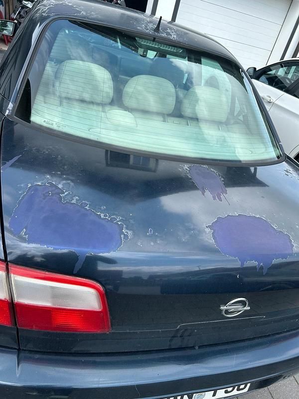 Second-hand Opel Omega 179 CP (131 kW) 2002 Albastru Berlinǎ