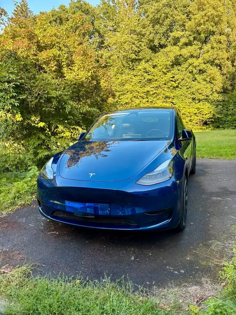 Usata Tesla Model Y Standard Range 219 kW (299 CV) 2023 Blu SUV