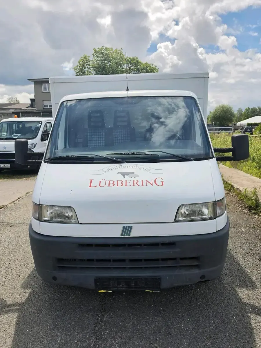 Gebraucht Fiat Ducato 115 PS (84 kW) 1997 Weiß Van