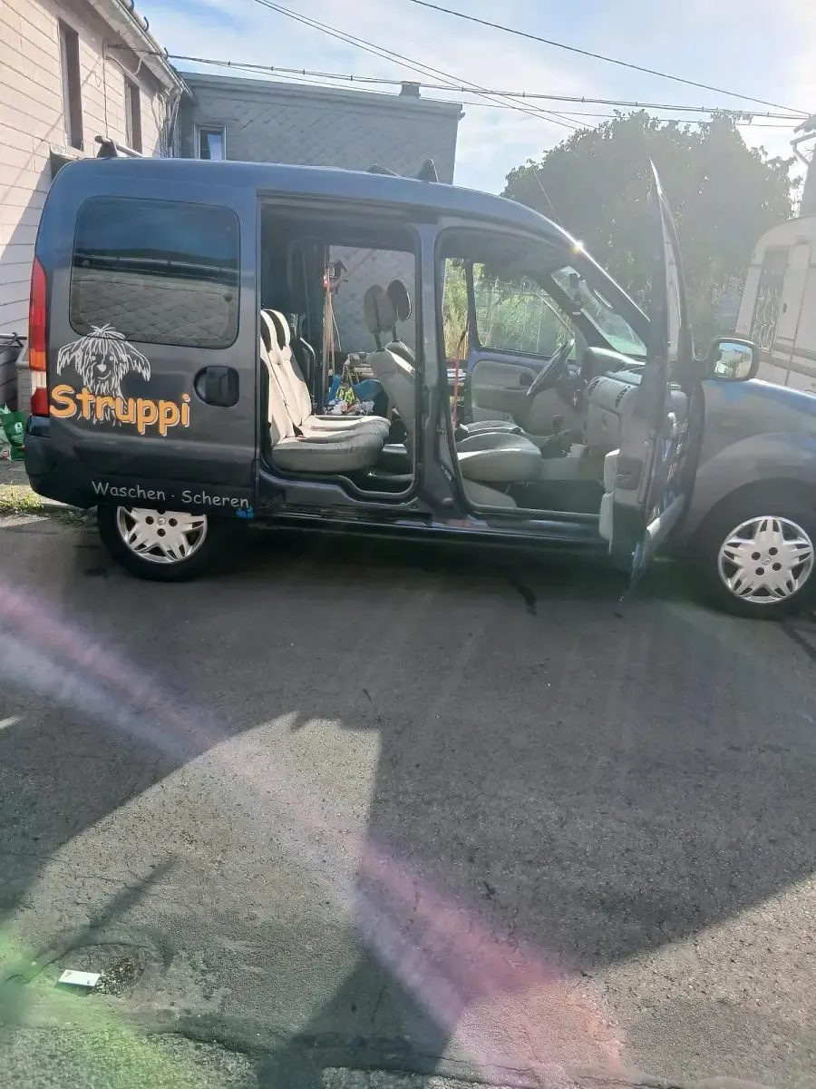 Gebraucht Renault Kangoo 82 PS (60 kW) 2003 Blau Van / Kleinbus
