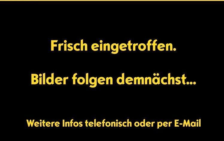 Bild 3/3