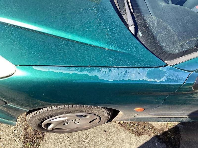 Gebraucht Peugeot 206 88 PS (64 kW) 1999 Grün Kleinwagen