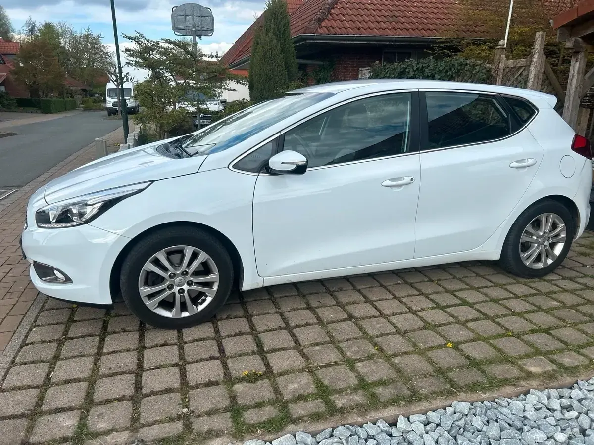 Gebraucht Kia Ceed 99 PS (72 kW) 2014 Weiß Kleinwagen