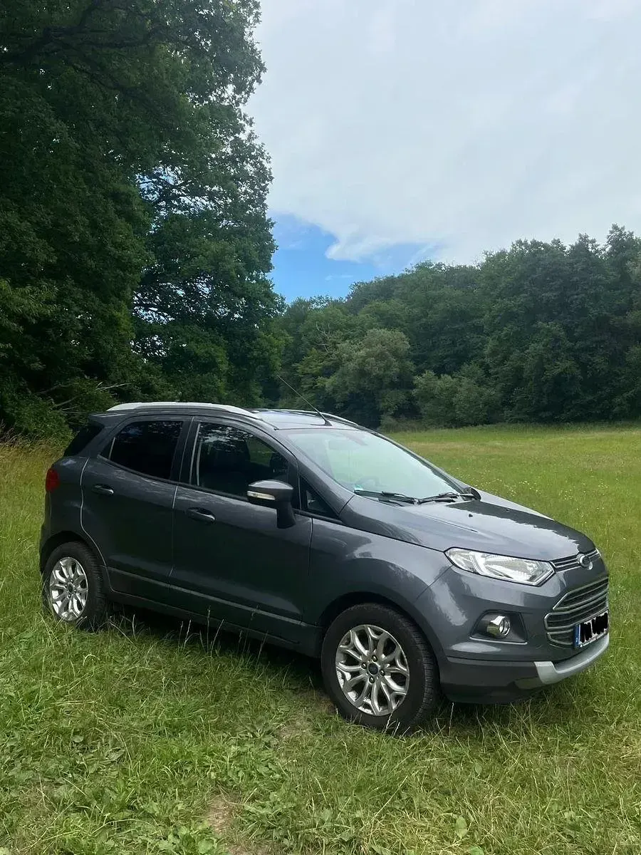 Gebraucht Ford Ecosport Titanium 125 PS (91 kW) 2015 Grau SUV