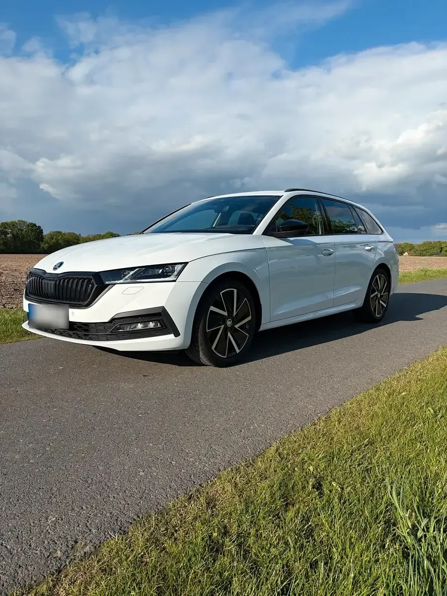 Gebraucht Skoda Octavia 150 PS (110 kW) 2022 Weiß Kombi