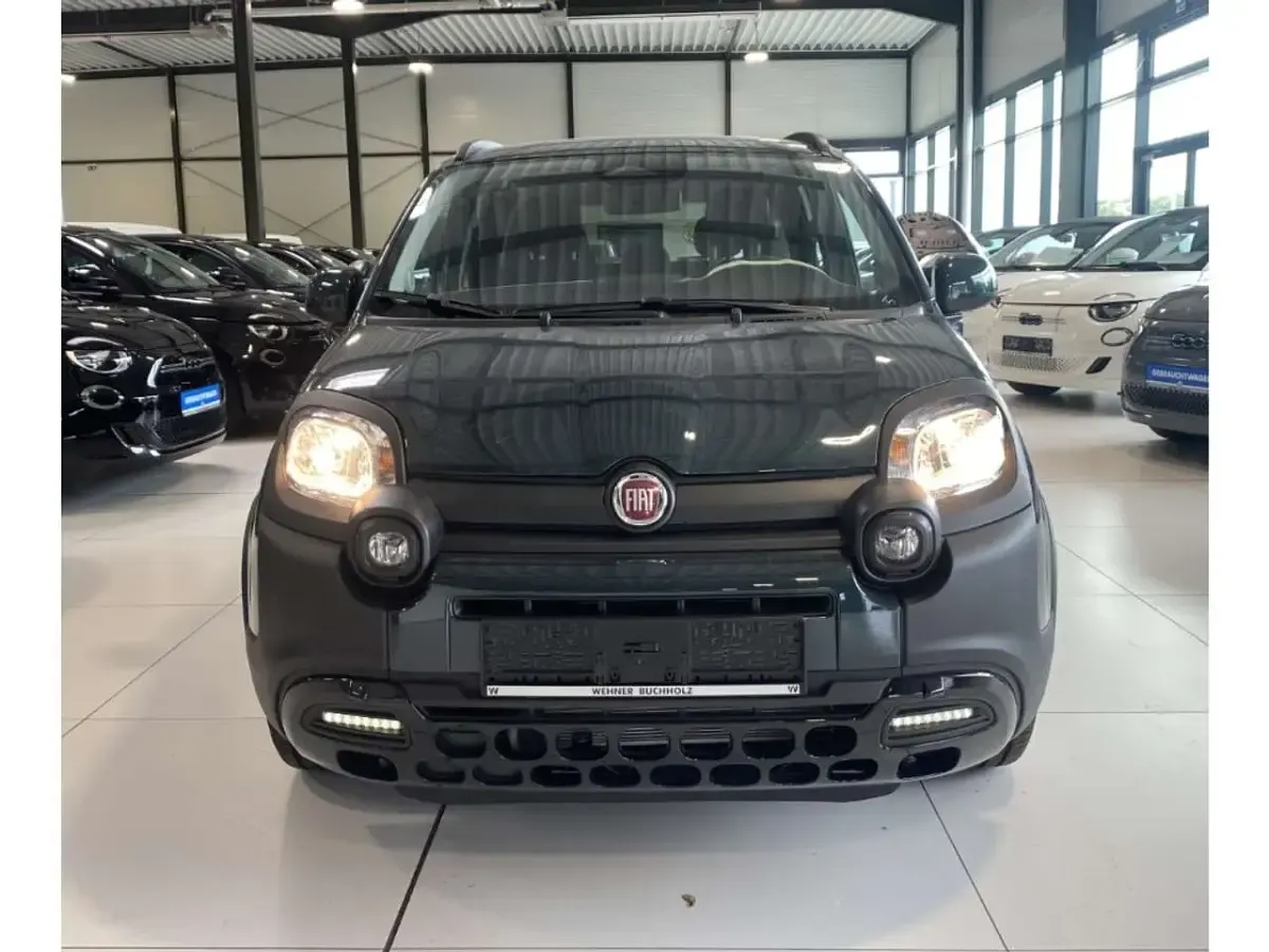 Neu Fiat Panda Cross Cross 65 PS (47 kW) 2025 Foresta grün Kleinwagen