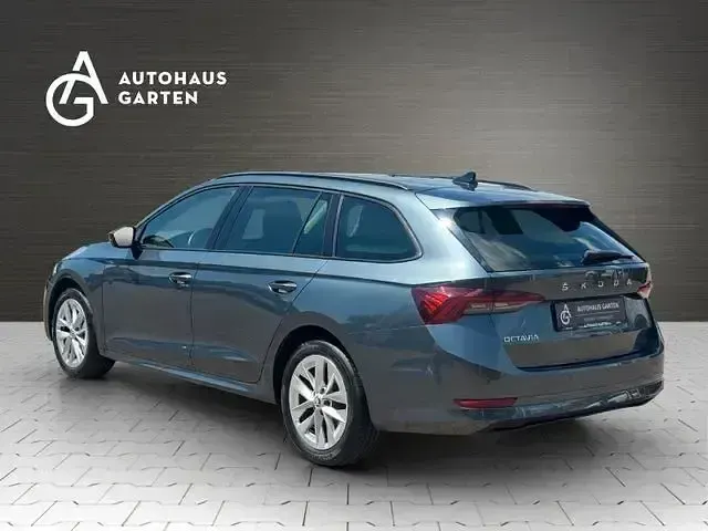 Gebraucht Skoda Octavia 150 PS (110 kW) 2020 Grau Kombi