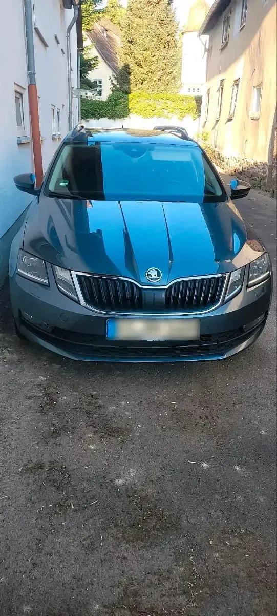 Gebraucht Skoda Octavia 150 PS (110 kW) 2019 Grau Kombi