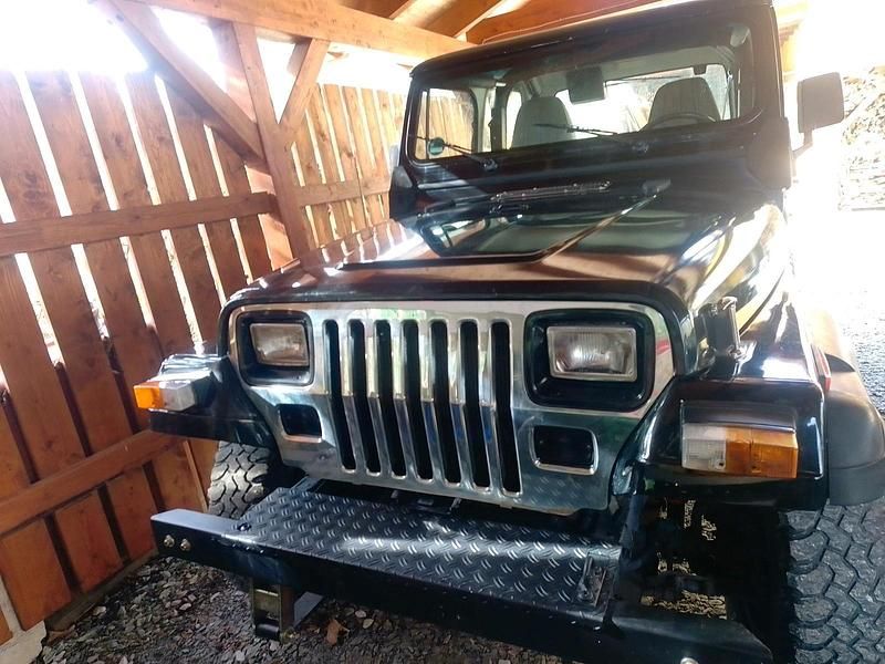 Gebraucht Jeep Wrangler 123 PS (90 kW) 1995 Schwarz SUV