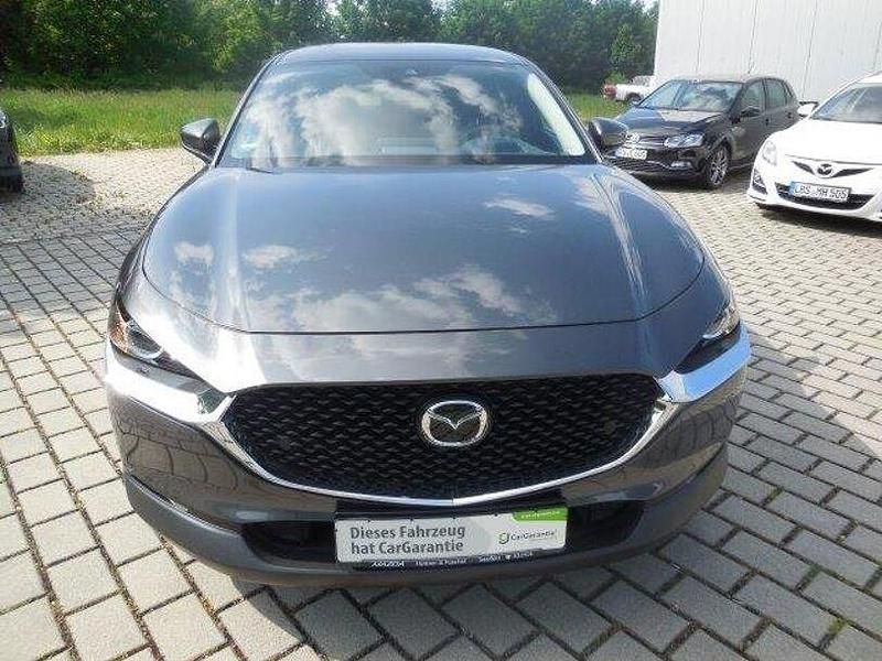 Gebraucht Mazda CX-30 Selection 179 PS (131 kW) 2019 Matrixgrau SUV