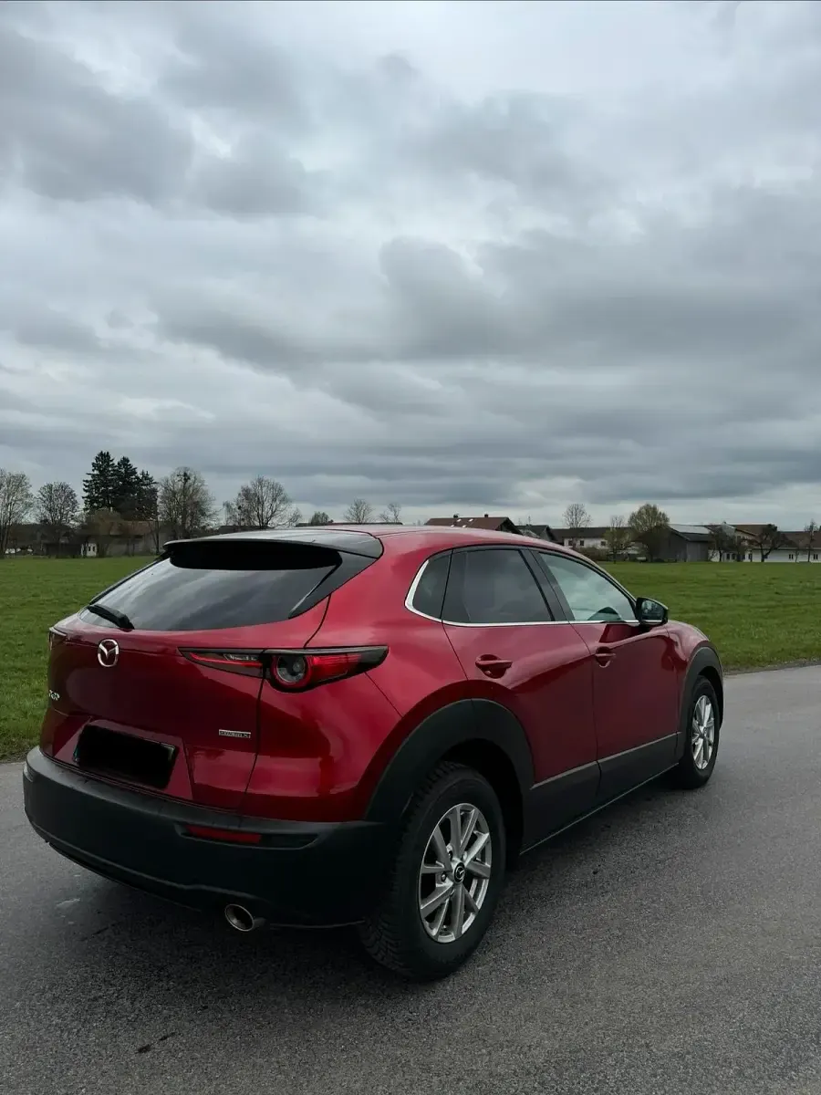 Gebraucht Mazda CX-30 Selection 180 PS (132 kW) 2020 Andere farben SUV