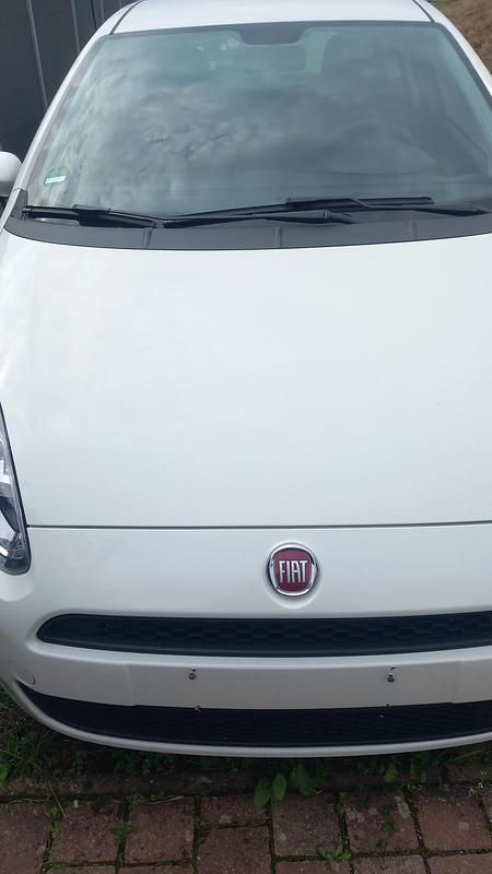 Weiß Gebraucht 2015 Fiat Punto Kleinwagen | 6.250 € (Fairer Preis) - Bild 1/4