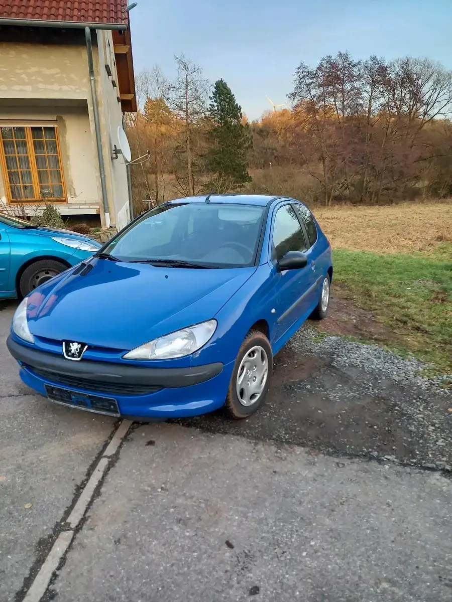 Gebraucht Peugeot 206 75 PS (55 kW) 2000 Blau Kleinwagen
