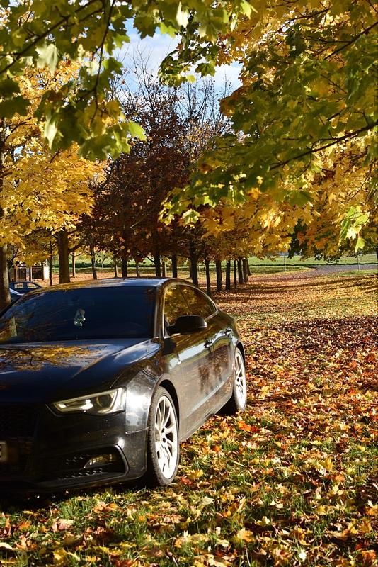 Gebraucht Audi Coupé Advanced 204 PS (150 kW) 2013 Schwarz Coupé