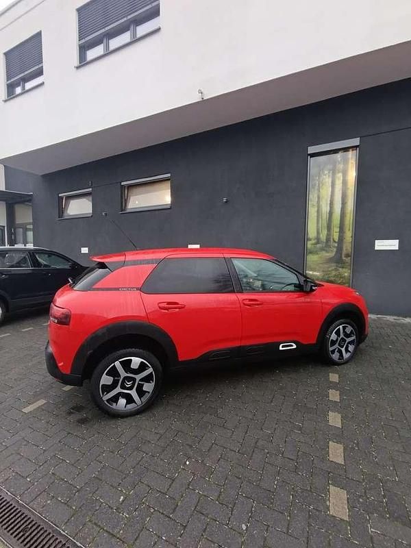 Gebraucht Citroën C4 Cactus Live 110 PS (80 kW) 2018 Kleinwagen