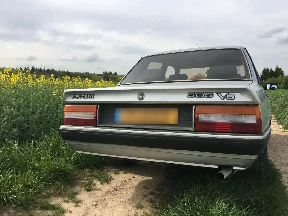 Gebraucht Peugeot 505 170 PS (125 kW) 1986 Grau Limousine