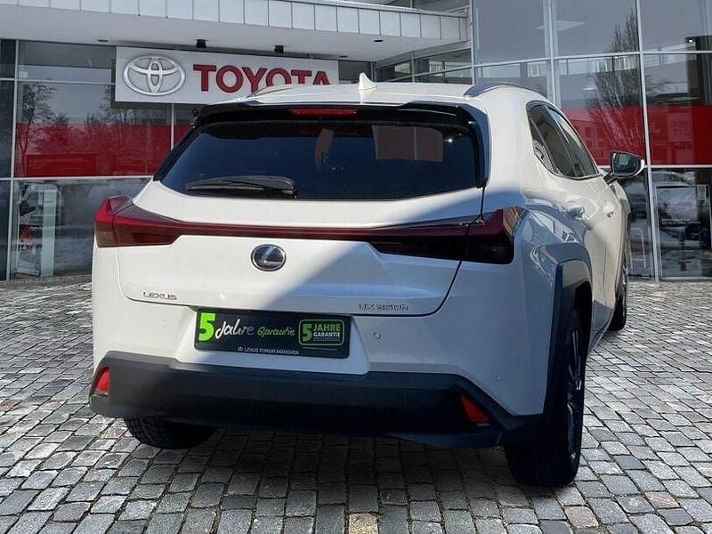 Gebraucht Lexus UX 184 PS (135 kW) 2023 Weiss SUV