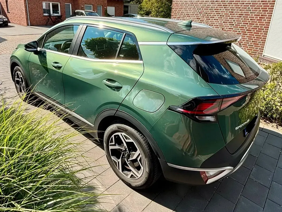 Gebraucht Kia Sportage Edition 7 150 PS (110 kW) 2023 Grün SUV