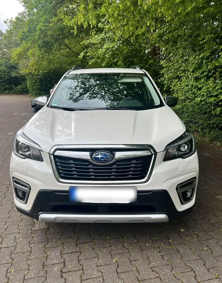 Gebraucht Subaru Forester 150 PS (110 kW) 2021 Weiß SUV