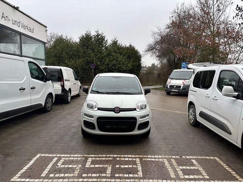 Gebraucht Fiat Panda Pop 69 PS (50 kW) 2019 Weiß Kleinwagen