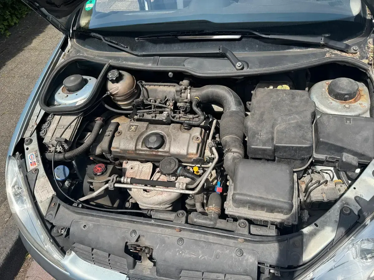 Używany Peugeot 206 75 KM (55 kW) 2003 Szary Kombi
