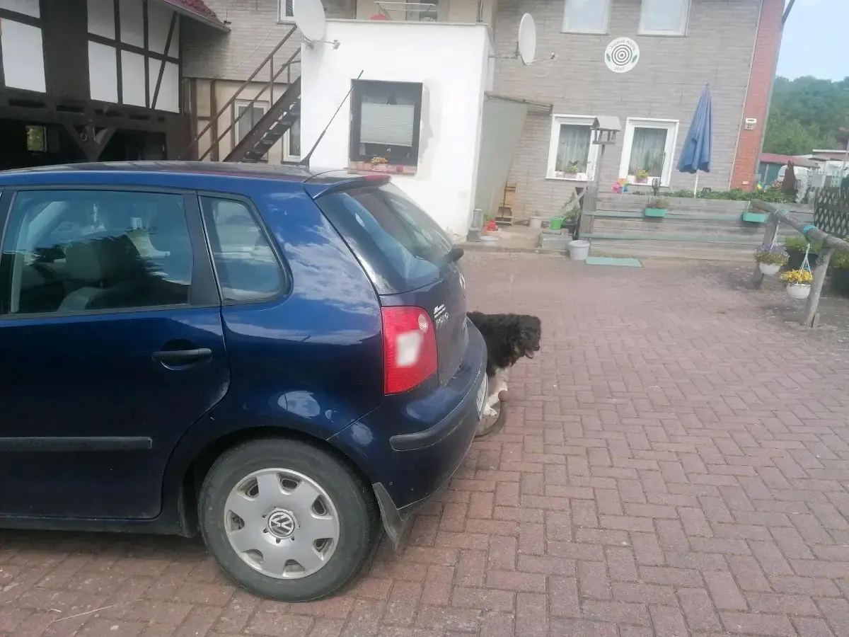 Gebraucht VW Polo 54 PS (39 kW) 2004 Blau Kleinwagen