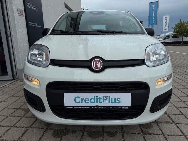 Neu Fiat Panda 69 PS (50 kW) 2025 Weiß Kleinwagen