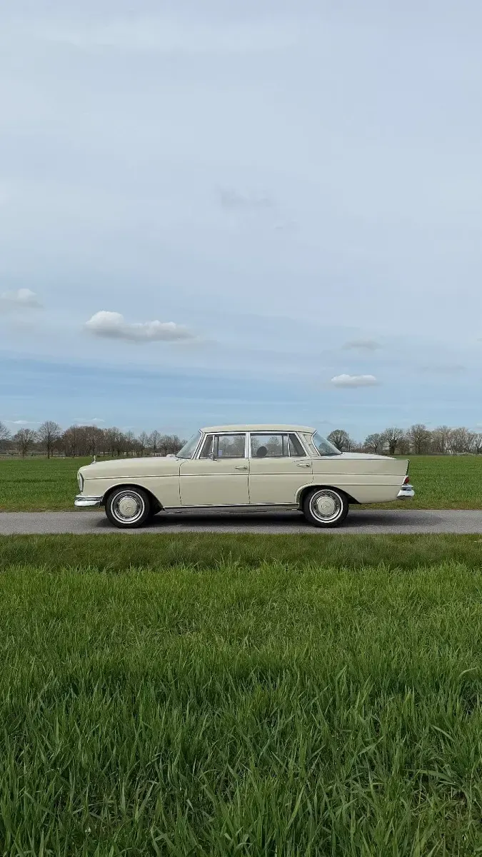 Gebraucht Mercedes 300 170 PS (125 kW) 1964 Weiß Limousine