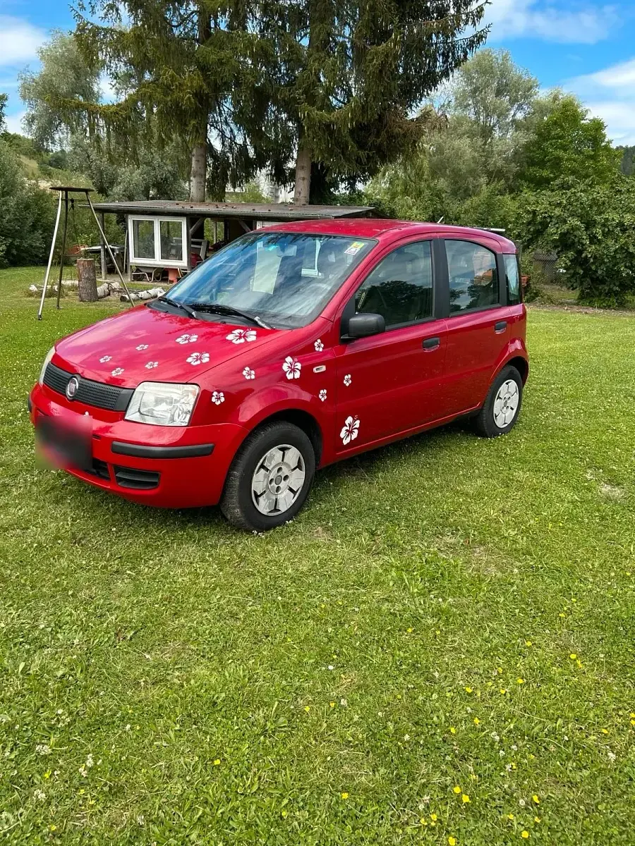 Gebraucht Fiat Panda 54 PS (39 kW) 2009 Rot Kleinwagen