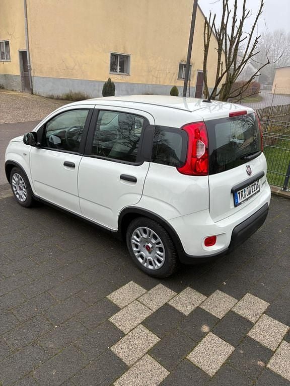 Gebraucht Fiat Panda 69 PS (50 kW) 2023 Weiß Kleinwagen