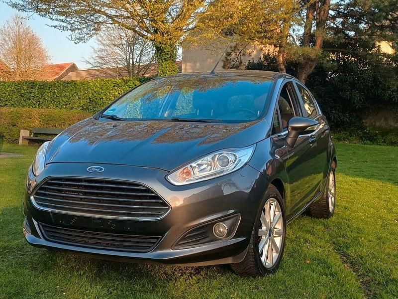 Gebraucht Ford Fiesta Trend 95 PS (69 kW) 2016 Grau Limousine