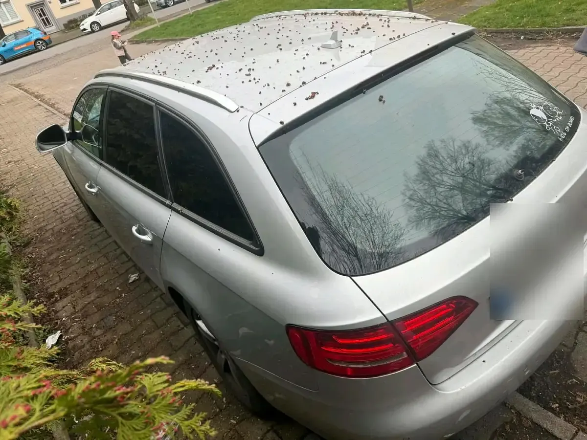 Gebraucht Audi A4 160 PS (117 kW) 2008 Grau Kombi