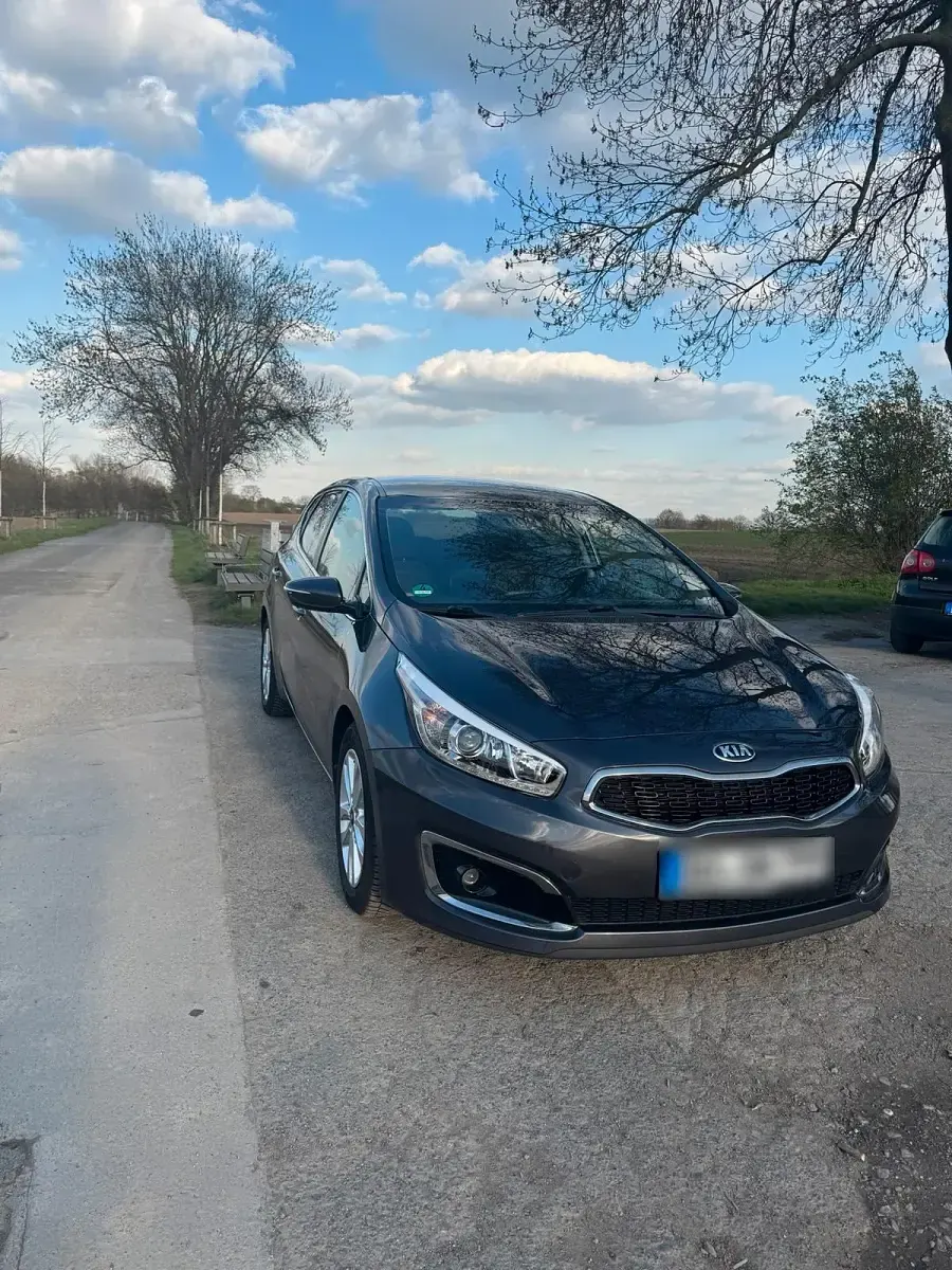 Gebraucht Kia Ceed Spirit 136 PS (100 kW) 2016 Grau Kleinwagen