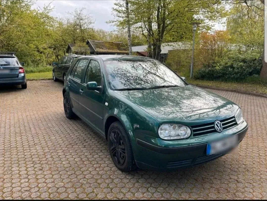 Gebraucht VW Golf IV 90 PS (66 kW) 2001 Grün Kleinwagen