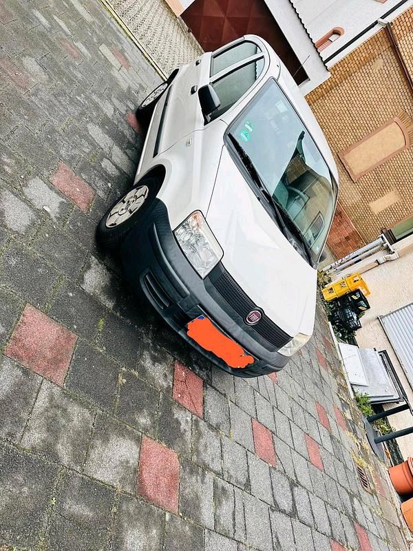 Weiß Gebraucht 2009 Fiat Panda Kleinwagen | 2.699 € (Fairer Preis) - Bild 1/4