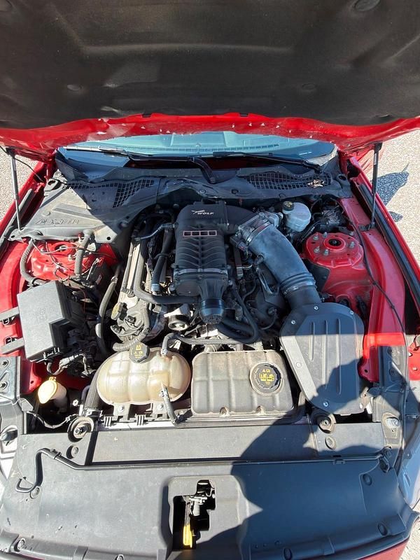 Gebraucht Ford Mustang 590 PS (433 kW) 2017 Rot Coupé