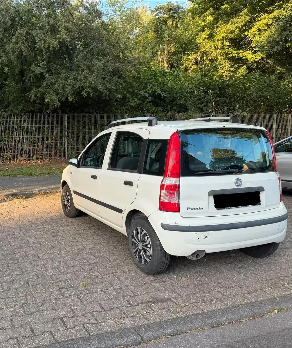 Gebraucht Fiat Panda Dynamic 54 PS (39 kW) 2008 Weiß Kleinwagen