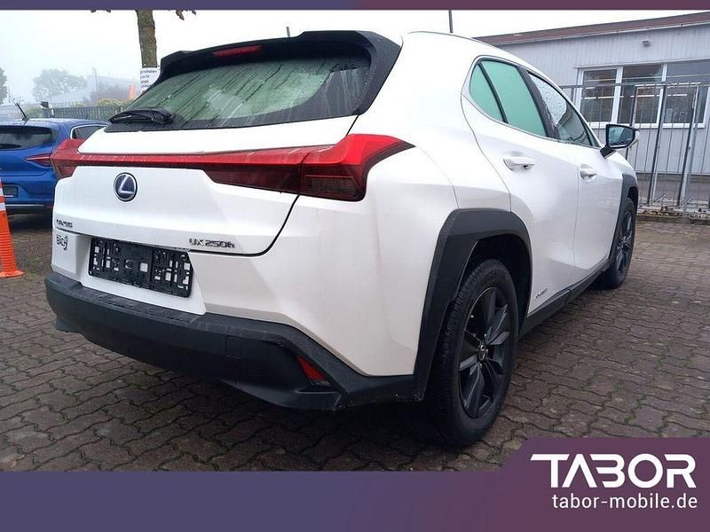 Gebraucht Lexus UX 250h Launch Edition 184 PS (135 kW) 2019 Weiss SUV