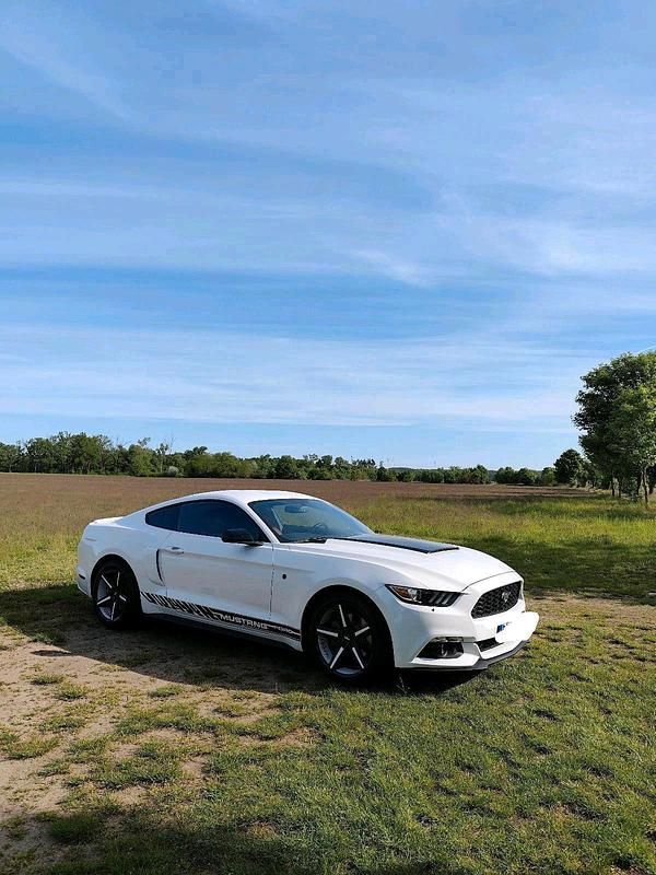 Gebraucht Ford Mustang 317 PS (233 kW) 2015 Weiß Coupé