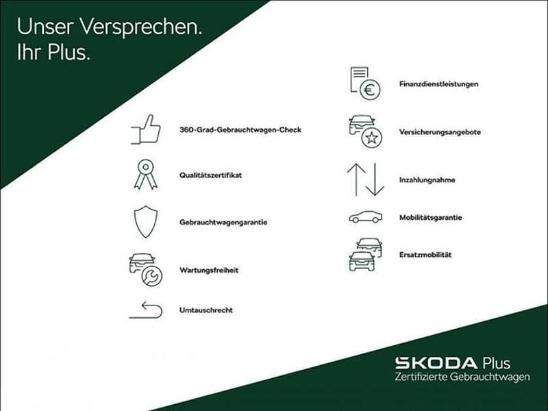 Gebraucht Skoda Karoq Selection 150 PS (110 kW) 2024 Grau SUV