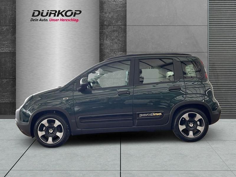 Neu Fiat Panda Cross Cross 69 PS (50 kW) 2026 Gruen Kleinwagen