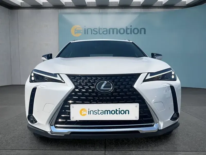 Gebraucht Lexus UX 250h Executive Line 184 PS (135 kW) 2023 Weiß SUV