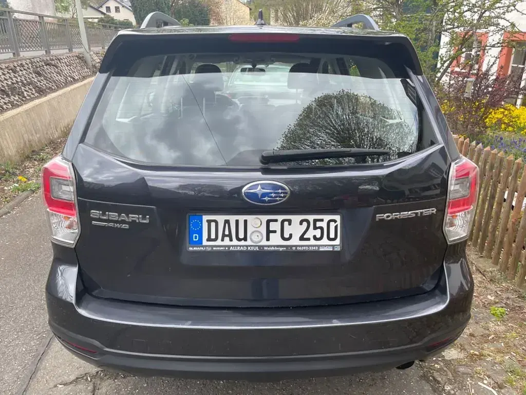 Gebraucht Subaru Forester Active 150 PS (110 kW) 2017 Grau SUV